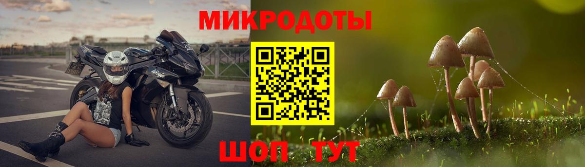 Псилоцибиновые грибы Psilocybine cubensis Нальчик